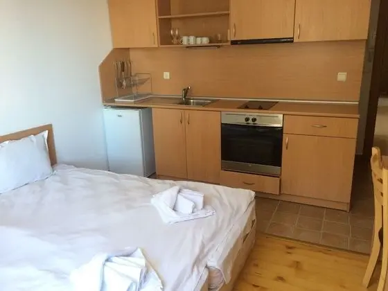 Basic Stüdyo, 1 Yatak Odası, Sigara İçilmez, Dağ Manzaralı