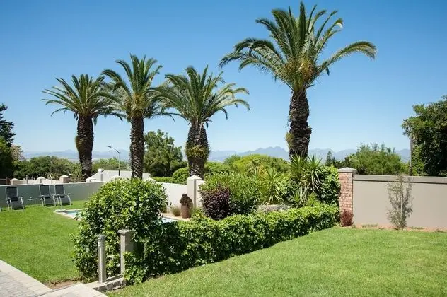 Palm Suite