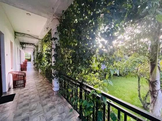 Deluxe Tek Büyük Yataklı Oda, Sigara İçilmez