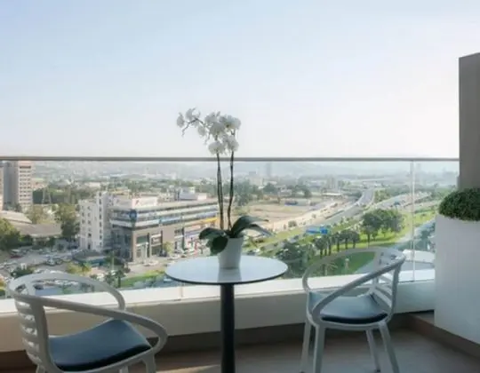 Oda, 1 En Büyük (King) Boy Yatak, Balkon, Şehir Manzaralı