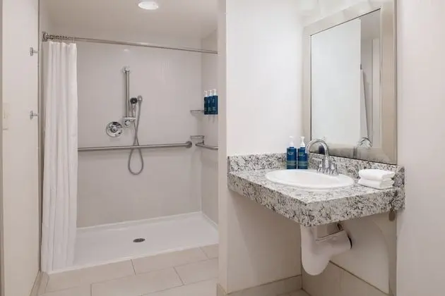 Traditional Süit, 1 En Büyük (King) Boy Yatak ve Çekyat (Mobility Accessible, Roll-In Shower)