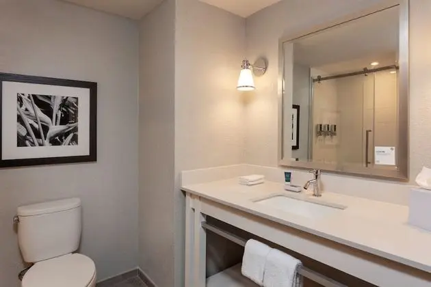 Deluxe Oda, 1 En Büyük (King) Boy Yatak, Havuz Manzaralı