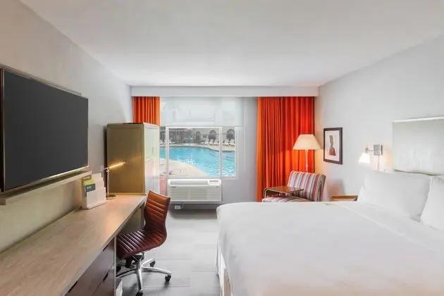 Deluxe Oda, 1 En Büyük (King) Boy Yatak, Havuz Manzaralı