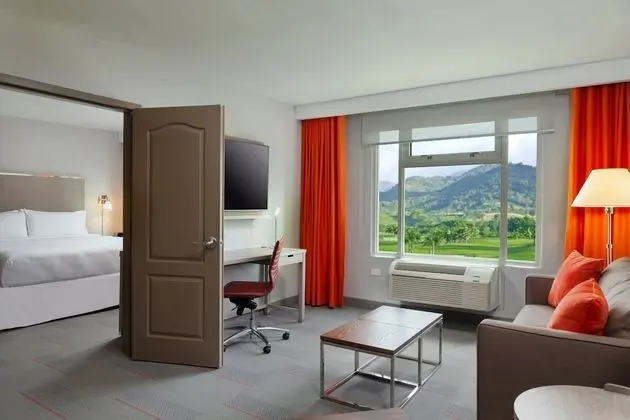 Deluxe Süit, 1 En Büyük (King) Boy Yatak ve Çekyat, Havuz Manzaralı