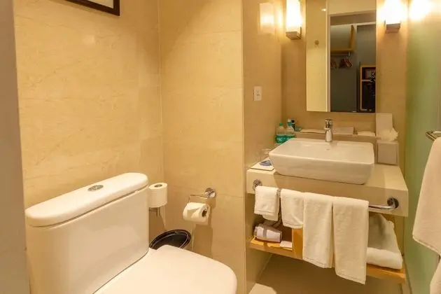 Executive Oda, 1 En Büyük (King) Boy Yatak, Sigara İçilmez (Executive Lounge Access)