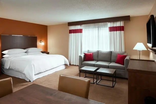 Executive Süit, 1 En Büyük (King) Boy Yatak