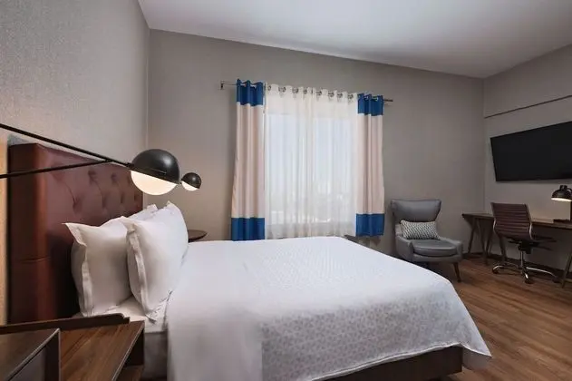 Premium Süit, 1 Yatak Odası
