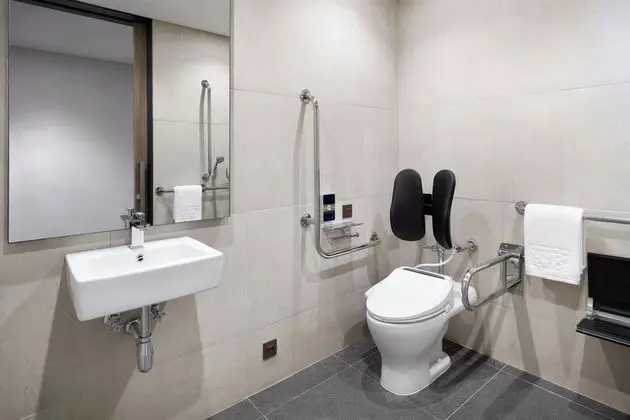 Superior Oda, 1 Çift Kişilik Yatak, Sigara İçilmez, Şehir Manzaralı