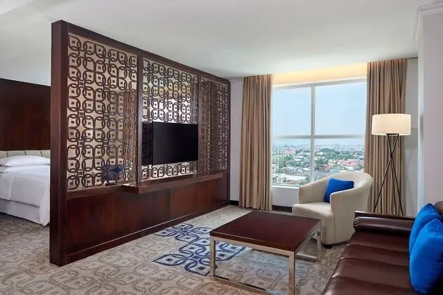 Executive Süit, 1 Yatak Odası, Şehir Manzaralı