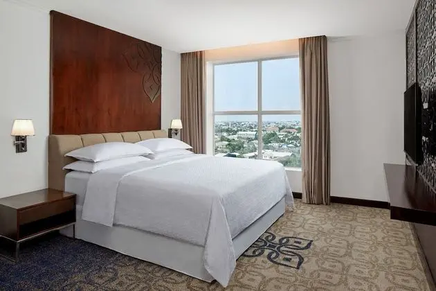 Executive Süit, 1 Yatak Odası, Şehir Manzaralı