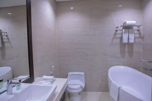 Executive Süit, 1 Yatak Odası, Şehir Manzaralı