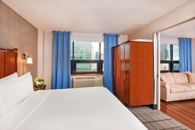 Çatı Katı Süiti (Penthouse), 1 En Büyük (King) Boy Yatak, Şehir Manzaralı