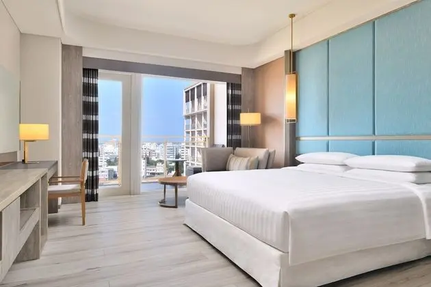 Deluxe Oda, 1 En Büyük (King) Boy Yatak, Sigara İçilmez, Şehir Manzaralı