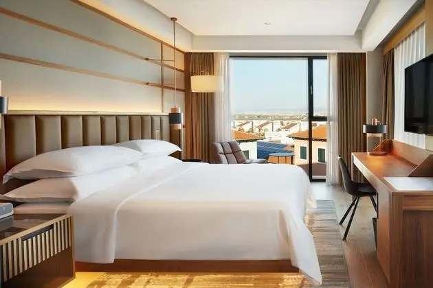 Premium Oda, 1 En Büyük (King) Boy Yatak, Sigara İçilmez, Köşe