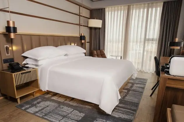 Premium Oda, 1 En Büyük (King) Boy Yatak, Sigara İçilmez, Teras