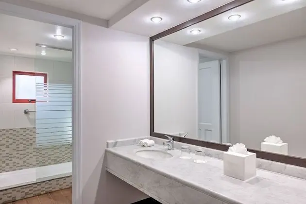 Deluxe Oda, 2 Çift Kişilik Yatak, Sigara İçilmez