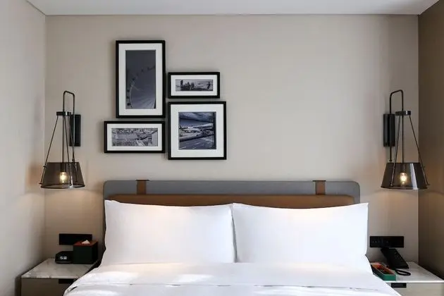 Deluxe Oda, 1 En Büyük (King) Boy Yatak, Şehir Manzaralı