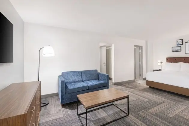 Süit, 1 Yatak Odası, Sigara İçilmez