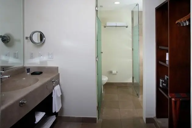 Oda, 1 En Büyük (King) Boy Yatak, Balkon, Şehir Manzaralı