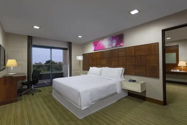 Süit, 1 Yatak Odası, Balkon, Şehir Manzaralı