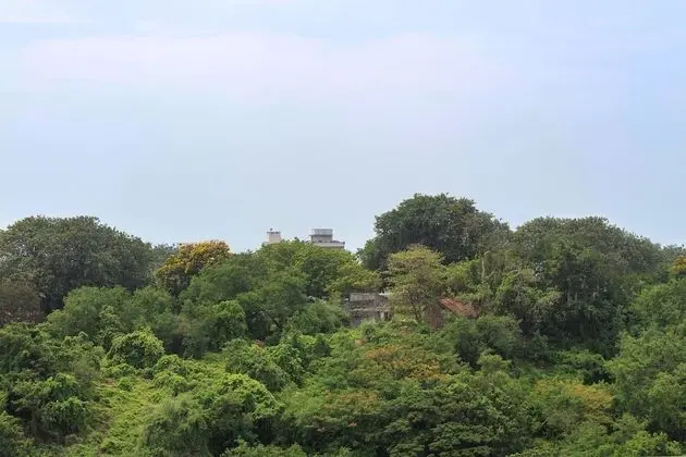 Süit, 1 Yatak Odası, Balkon, Şehir Manzaralı