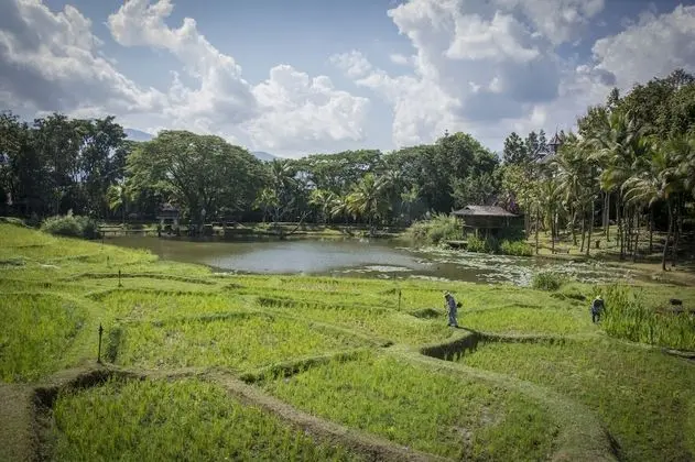 Oda, 1 En Büyük (King) Boy Yatak (Rice Terrace Pavilion)
