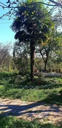 Basic Tek Büyük Yataklı Oda, Balkon