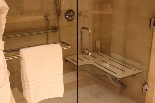 Superior Oda, 1 En Büyük (King) Boy Yatak, Engellilere Uygun, Balkon (Roll-In Shower)