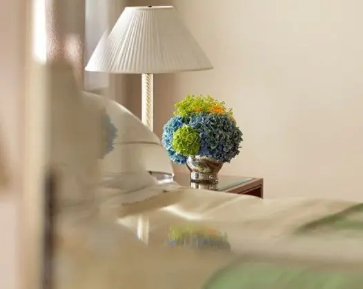 Deluxe Oda, 1 Büyük (Queen) Boy Yatak