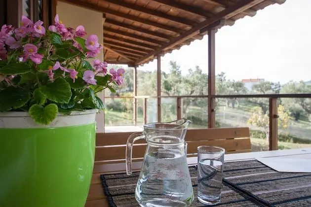 Premium Villa, 2 Yatak Odası, Kişiye Özel Havuzlu, Bahçeli