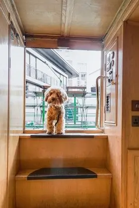 Luxury Kulübe (Houseboat - 2 double & 1 bunk bed)
