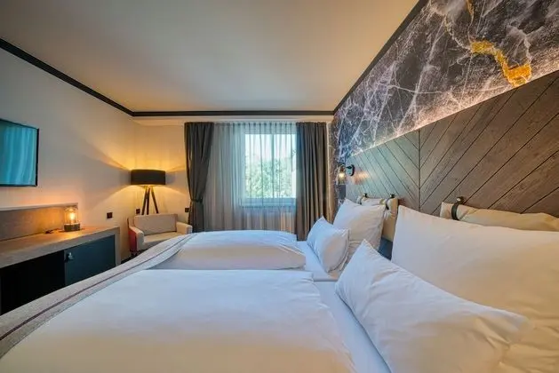 Executive Tek Büyük Yataklı Oda, 1 En Büyük (King) Boy Yatak