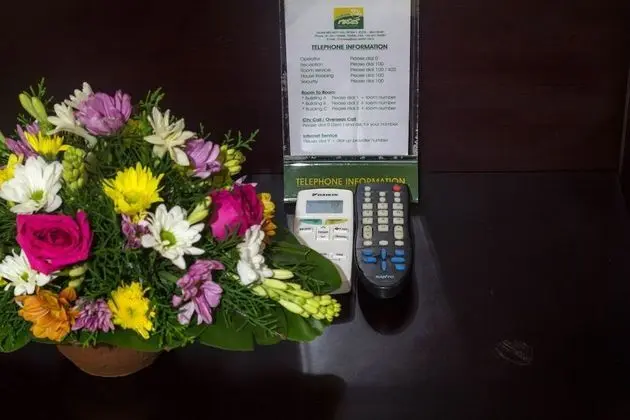 Deluxe Oda, Sigara İçilmez, Balkon (Deluxe - Room Only)