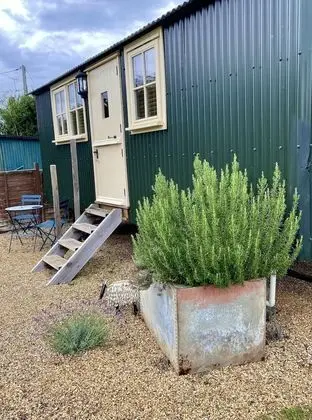 Luxury Kulübe, Banyolu/Duşlu (Luxury Shepherds Hut)