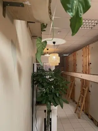 Tek Büyük Yataklı Oda, Ortak Banyo