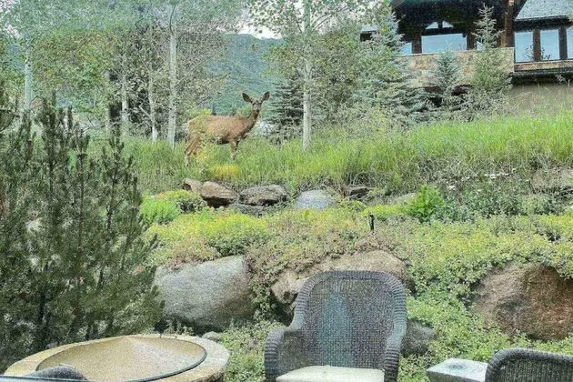 Ev (Fox Crossing Luxury Home)