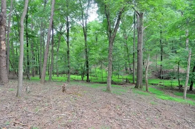 Kulübe, Birden Çok Yatak (Fox Hollow)