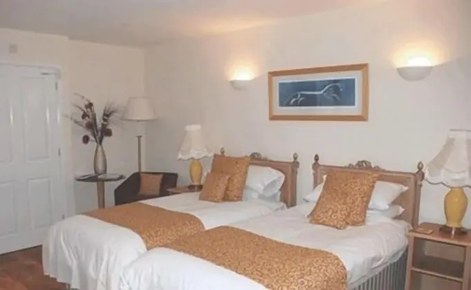 Tek Büyük veya İki Ayrı Yataklı Oda, Banyolu/Duşlu (Room 1)