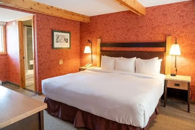 Premium Çatı Katı (Loft), 1 Yatak Odası