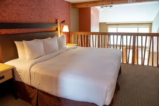 Premium Çatı Katı (Loft), 1 Yatak Odası