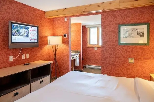 Premium Çatı Katı (Loft), 1 Yatak Odası