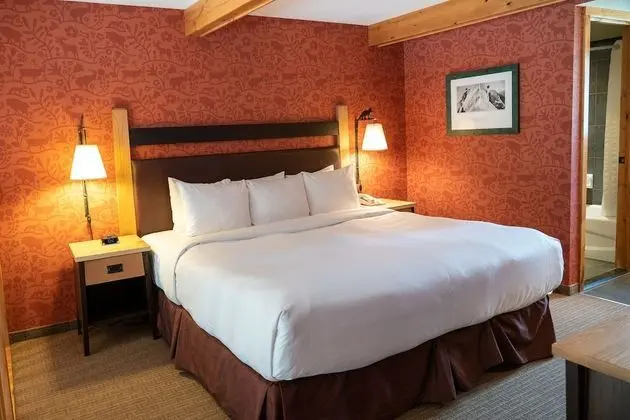 Premium Çatı Katı (Loft) (Suite)