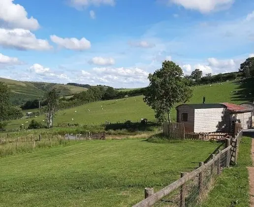 Kır Evi, 1 Büyük (Queen) Boy Yatak