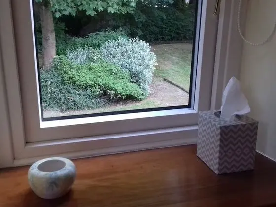 Tek Büyük Yataklı Oda, Banyolu/Duşlu, Bahçe Manzaralı