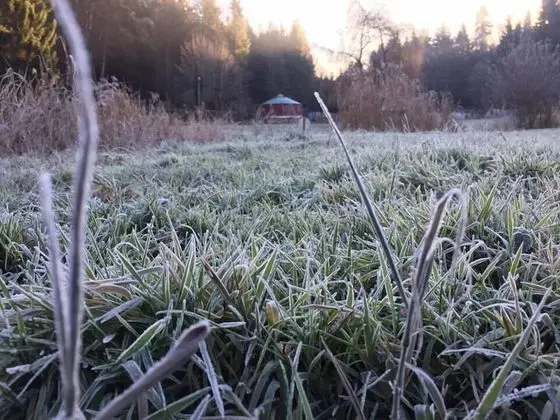 Panoramic Kulübe, Birden Çok Yatak, Sigara İçilmez, Göl Manzaralı
