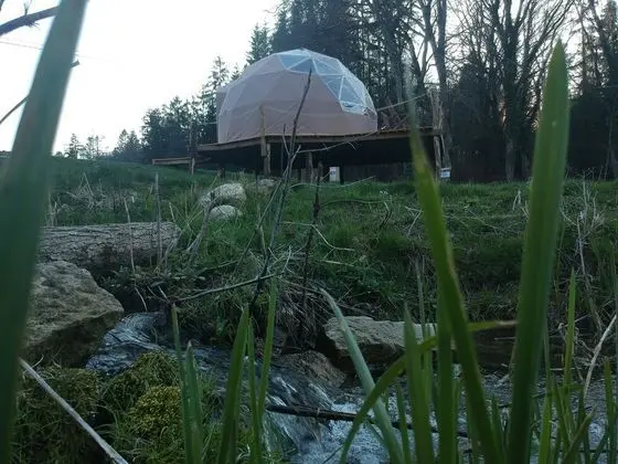 Panoramic Kulübe (Bulle)