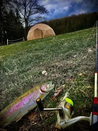 Panoramic Kulübe (Bulle)