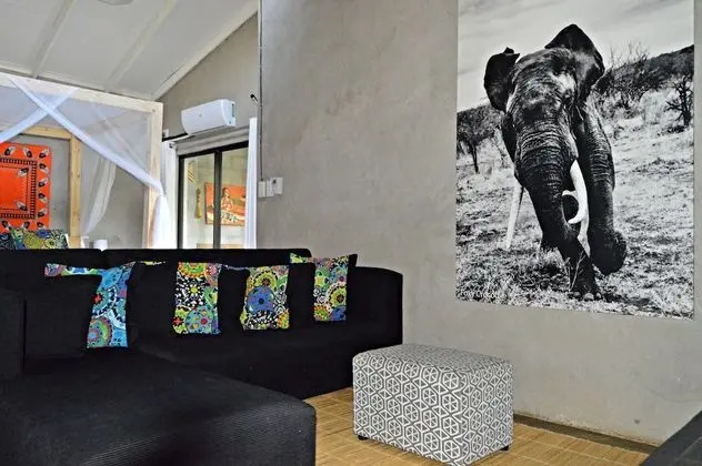 Crocodile Luxury Apartment