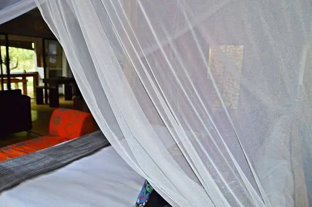 Crocodile Luxury Apartment