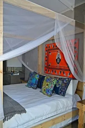 Crocodile Luxury Apartment